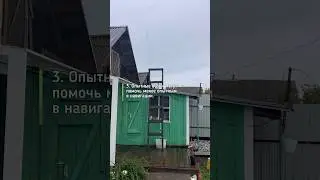 Счастливого пути 👋 Миграция аистов))) 