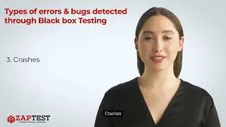 Types of errors and bugs detected through Black box Testing