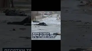 По большому счёту, всерьёз……пока ещё не начинали ???  Вот урод …..