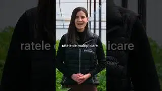 Când Trebuie Aplicat Calciu la Culturile de Legume? - Marcoser