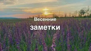 Глоток свежей весны.