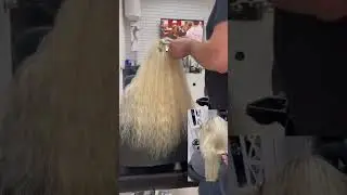 Химия на блонд!! Результат ! Шок! Волосы обломались