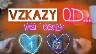 ‼️VZKAZY - CO BY ŘEKLA VAŠE OSOBA 🫂❤️