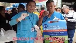 SOCIALIZACION  DEL PLAN DE DESPARACITACION REGIONAL 2022
