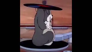 chinese cat