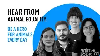 Hear From Animal Equality: Be a Hero for Animals Every Day