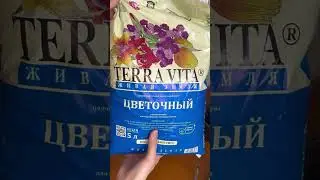 Роза из пятерочки
