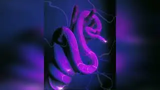 (FREE) Melodic Type Beat - 