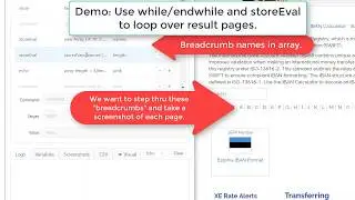 RPA Software Docs: How to use the storeValue and storedVars Selenium IDE commands.