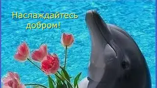 Спасибо!