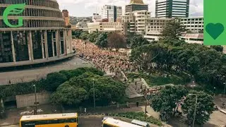Global Climate Strike Wellington Timelapse | Green Party NZ