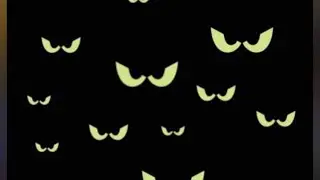 Perform a night audit of your property #security #nightvision #audit