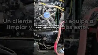 Enviale esto a tu amig@ que tiene más 🕸️ que componentes en su PC 🤣