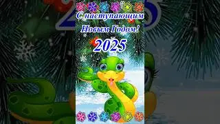 С наступающим Новым Годом 2025! С годом Змеи! 