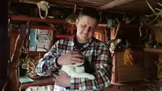 Про алабаев и их хозяев.
