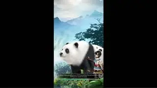 kung fu saga lvl 228 a 230.