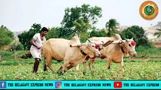 900 HECTER CROP LOSS BY FLOOD EFFECT/ನೆರೆ ಹಾವಳಿಯಿಂದ ಬೆಳೆನಾಶ/ ವಸತಿ ಹೀನವಾದ ಕುಟುಂಬಗಳಿಗೆ ಪರಿಹಾರ ಎಲ್ಲಿದೆ?