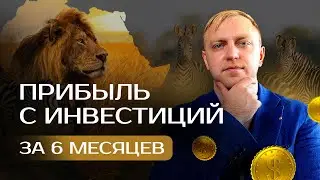 Как открыть компанию в ЮАР: шаги, сроки, стоимость