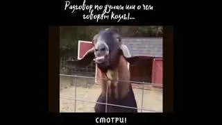 Козлиный, разговорный язык ( урок первый) 