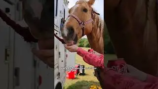 Placing At A Pro Rodeo Vlog! #equestrian #horses #barrelracing