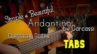 EASY Classical Guitar TABS #2 | Andantino by Carcassi