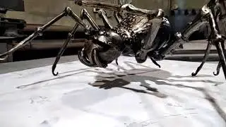 Насикомые Паук кованый