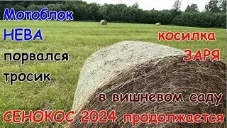 Сенокос 2024 продолжается.Катаем рулоны.В вишневом саду.Порвался трос сцепления на мотоблоке Нева.