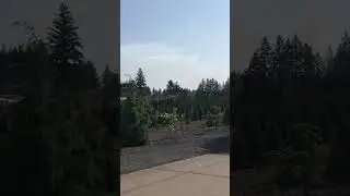Forest Fire Alert EVACUATE 6/1/2023
