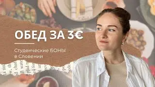БОНЫ на еду для студентов. Как они работают и на что распространяются
