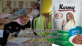 Пробуем влажный корм Karmy Sterilized  для стерилизованных кошек  лосось в желе