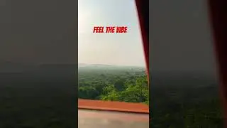 Feel the vibe😍❤️#love #nature #india