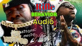 Jah clarity ® Vybz Kartel Rival ® Rifle behavior Riddim