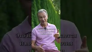 Эрозия шейки матки снова вернулась: в чем проблема?