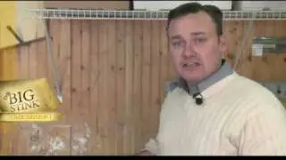 The Big Stink - Camembert Cheese