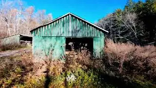 Erie County Forest