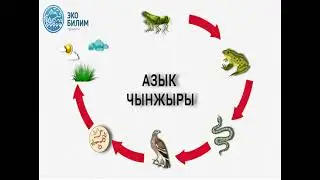 Topic: Biogeocenosis and its main components. Biology 9th grade. Teacher: Murzakulova Kairykhan