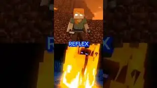 Alexbrine vs Entity 404 
