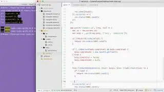MongoDB Mongoose and REST APIs (Todo API): Updating a Resource  PATCH todosid
