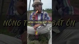 NÔNG TRƯỜNG BẤT ỔN 1 
