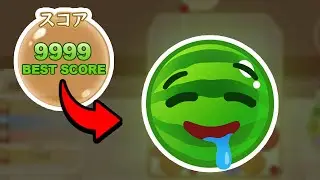 Why You Can't Stop Playing Suika