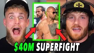 The Paul Brothers' $20M Offer To Andrew Tate & Tristan (FULL BREAKDOWN)