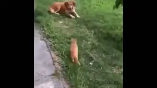What a takedown!
