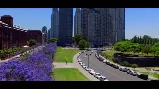 JACARANDAS Bs As