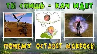 ТОП 5 причин - почему оставят макросы - Lineage 2 Classic.
