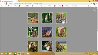 Галерея изображений на jquery. Код я оставлю в группе под видео.