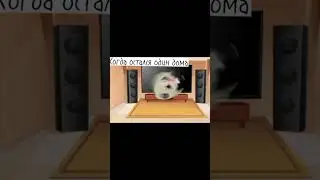 Когда остался один дома🏡 
