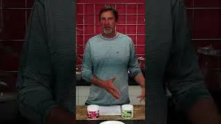Unlocking Flavor Magic with Flavor Powders