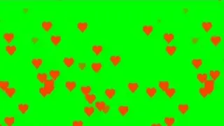 Orange coloured heart raining green screen video