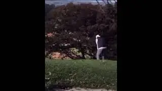 just golf...