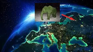 ГДЕ НАХОДИТСЯ СЛОН ИЗ МХА?